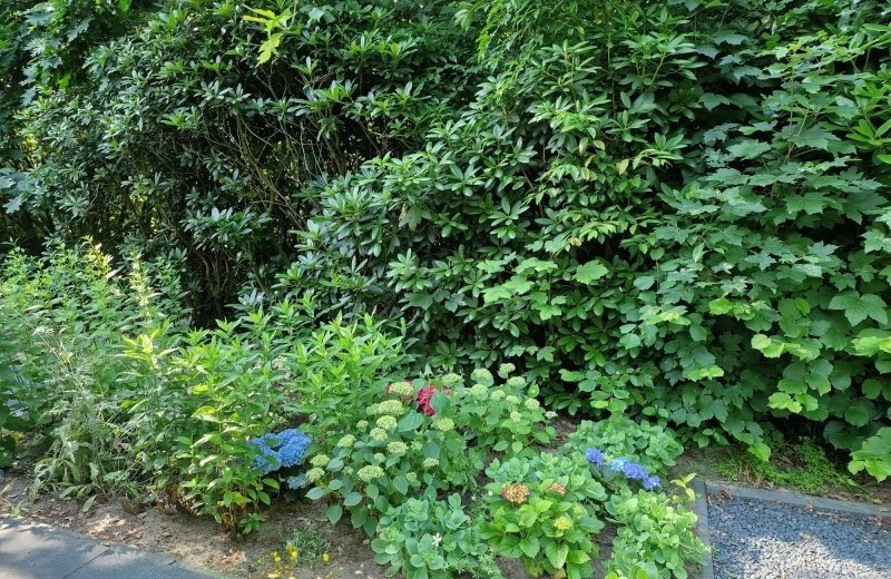 20250619 101129 resized