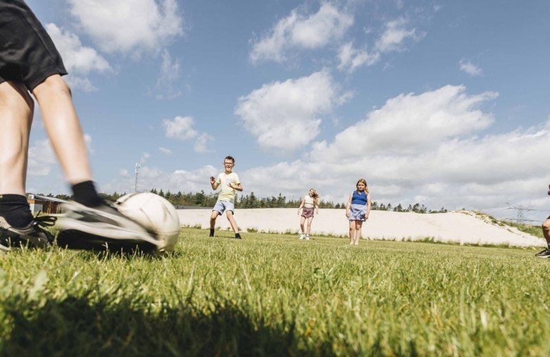 Img5668barbaratrienenphotographybungalowparkhogehexel11juni2022hr00210